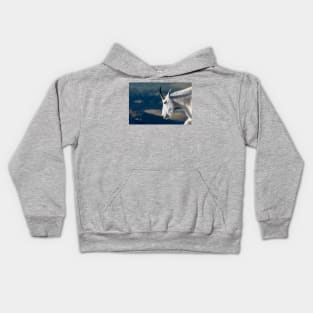 Rocky Mountain Unicorn Kids Hoodie